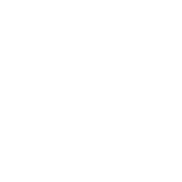 Maison de thé Camellia Sinensis Maison de thé Camellia Sinensis